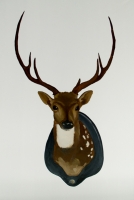 óleo sobre lienzo